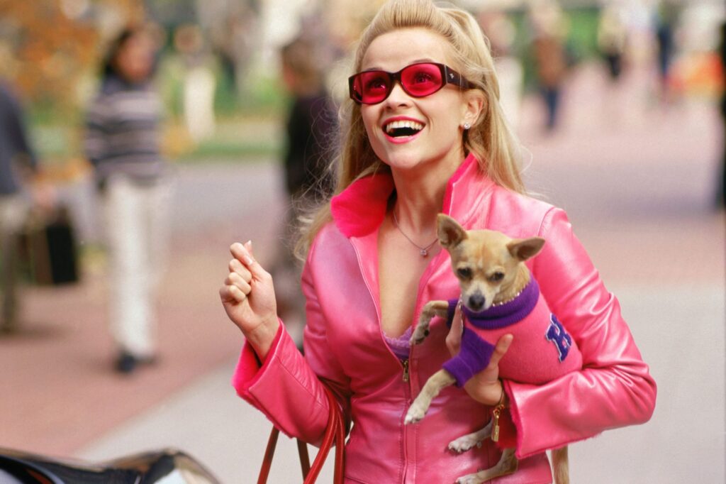 Where is Bruiser Woods from Legally Blonde? 