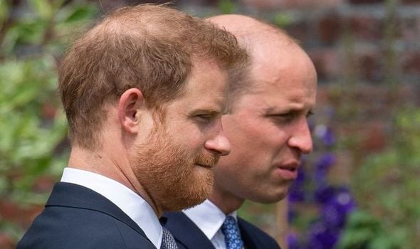 Princes Harry and William Express Outrage Over Shocking Princess Diana Interview Reveal