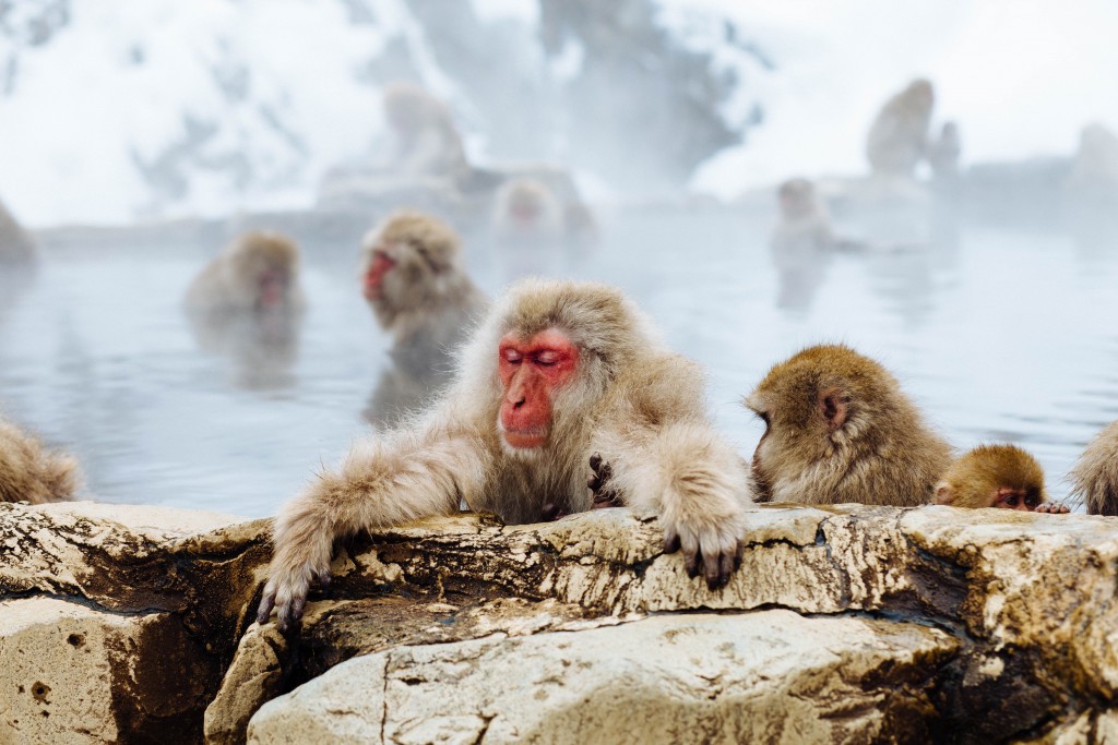 10 Unique Places To Spend Your Winter Holiday