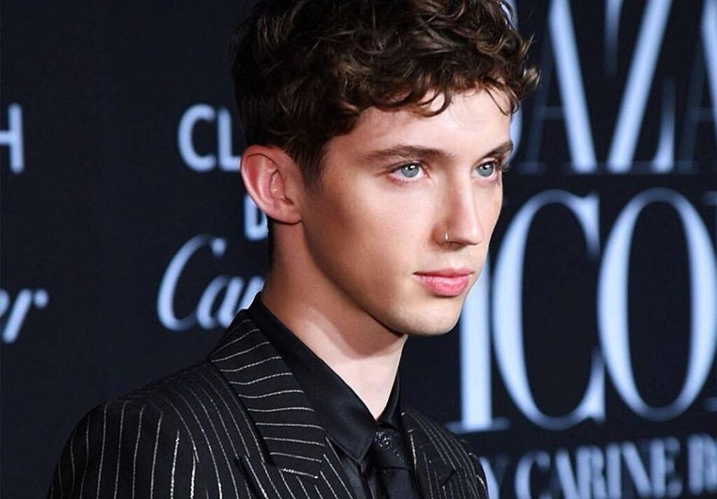 12 Reasons We Love Troye Sivan