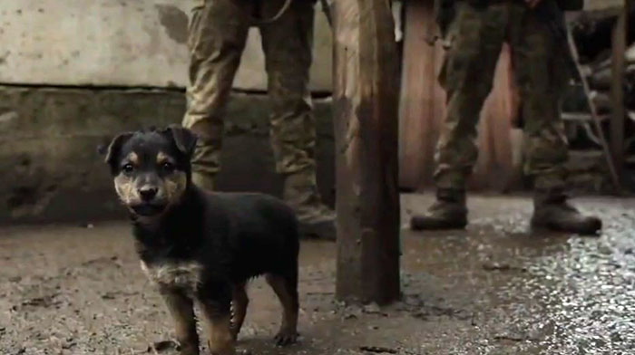 Ukrainian Soldiers Rescue Puppy — It Becomes Their Trusty Watchdog