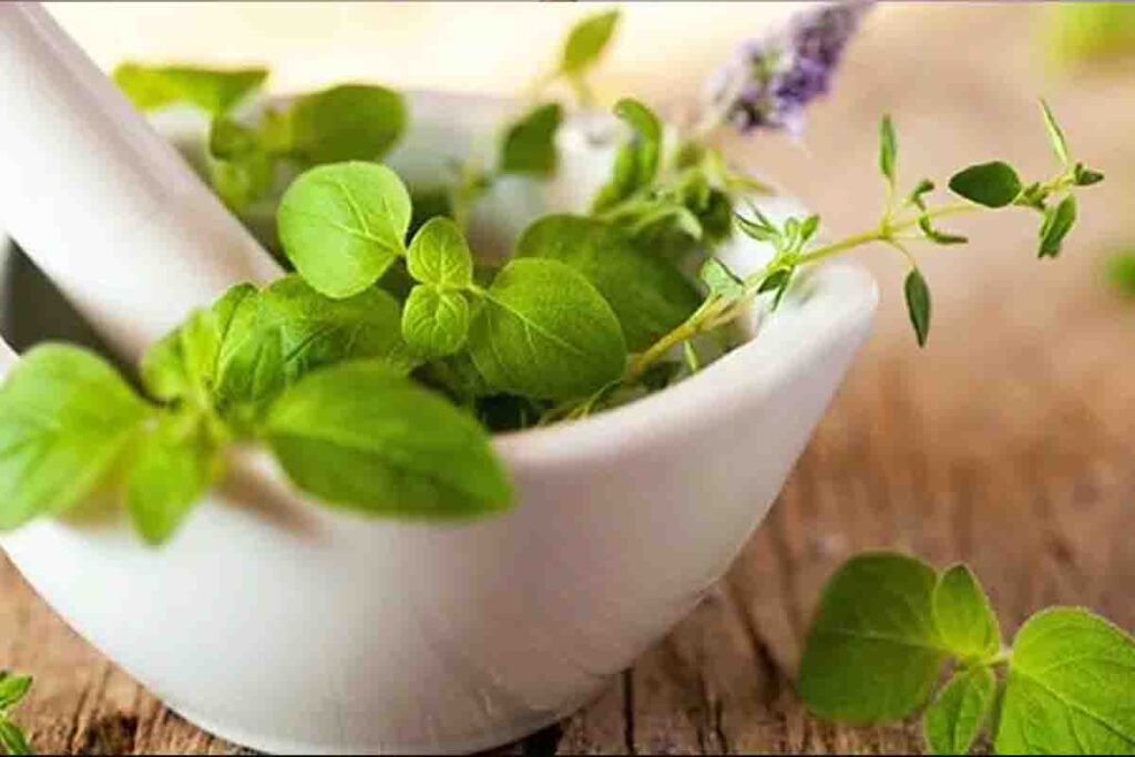 7 Sure-Proof Ways to Boost Your Immunity According to Ayurveda