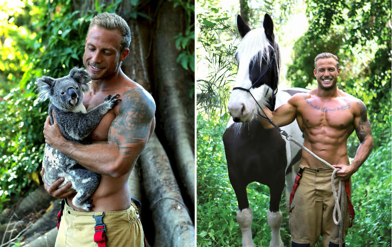 Hot Aussie Firefighters and Animals In 2020 Charity Calendar Melt Our Hearts