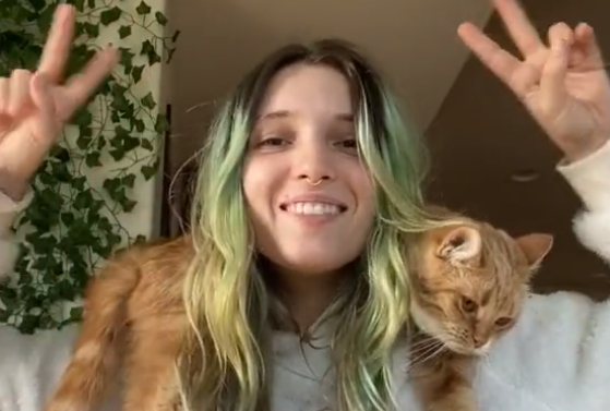 12 Best Celebrity Tik Toks Released During The Quarantine So Far