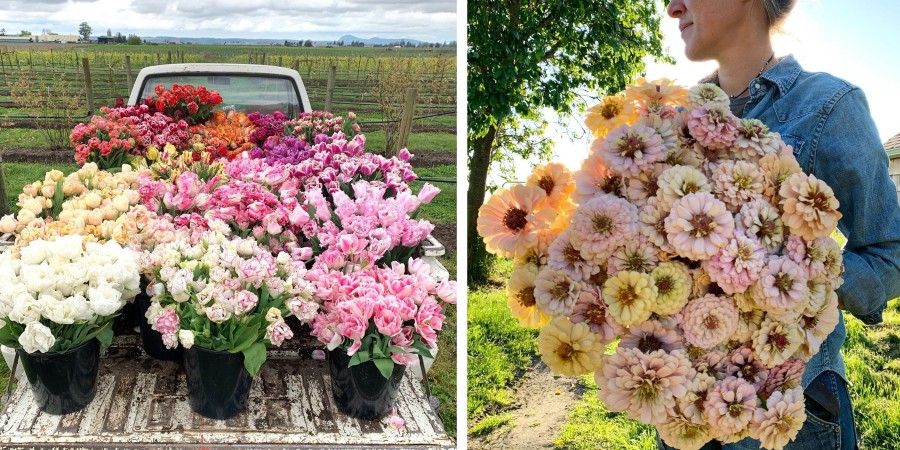 This Unreal Flower Farm Makes The Most Gorgeous Floral Arrangements