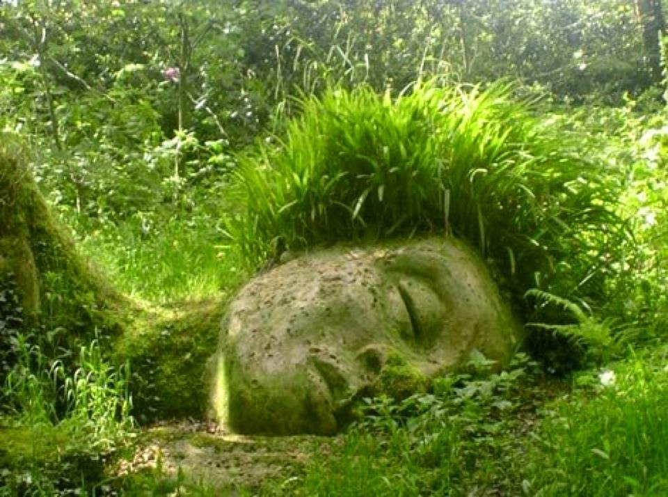 Extraordinary Beauty of The Lost Gardens of Heligan