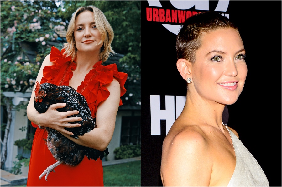 Kate Hudson | 15 Stars That Shaved Their Head And Rocked It | Her Beauty