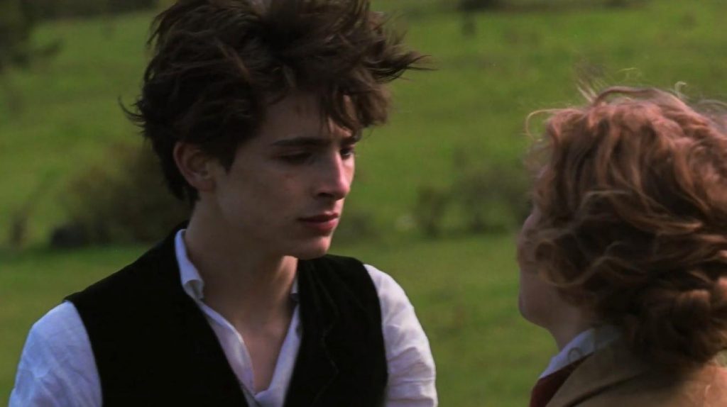 Timothée Chalamet | 8 Reasons You Should Watch the Newest Little Women | Her Beauty