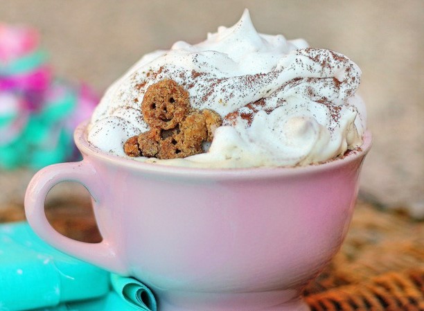 9 Non Alcoholic Christmas Drinks