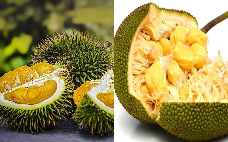 Peeling and cleaning a raw jackfruit | 9 Facts You Need To Know About The Lip-Smacking Jackfruit | Her Beauty