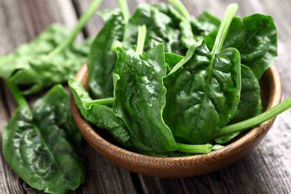 Spinach | 10 Foods That Treat Skin Conditions | Her Beauty