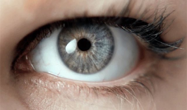 The Truth About Gray Eyes