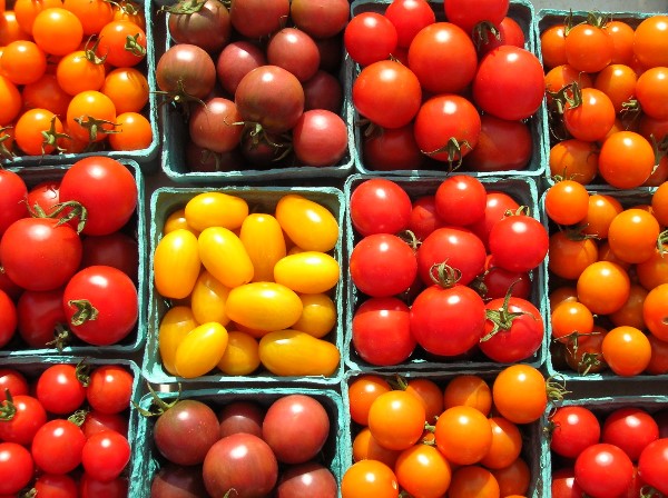 Tomatoes | 12 Foods You’re Storing Incorrectly | Her Beauty