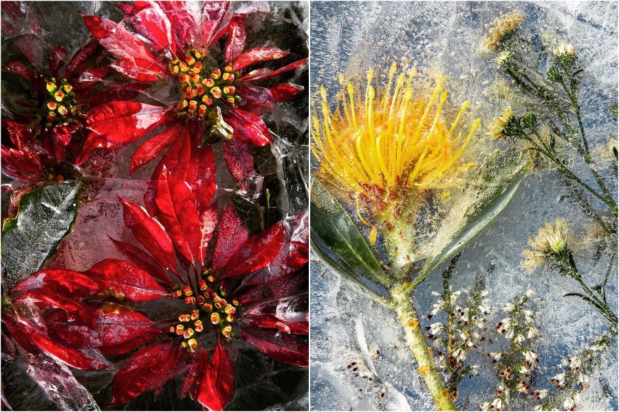 The Zero Degree Project Will Blow You Away With Its Unique Beauty