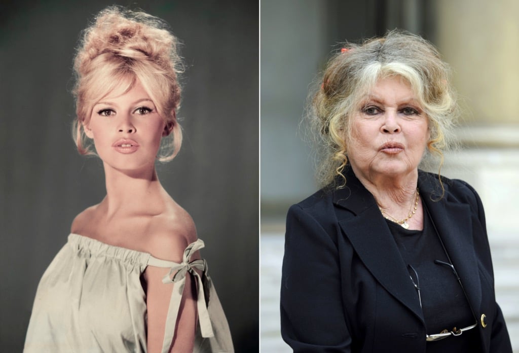 Where Is The Great Brigitte Bardot Today