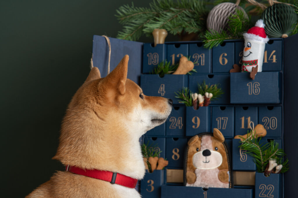 11 Unique, Alternative and Odd Advent Calendars You’ll Want to Get for Your Friends and Family This Year