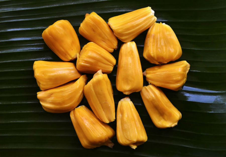 Jackfruit is a real nutritional wonder | 9 Facts You Need To Know About The Lip-Smacking Jackfruit | Her Beauty