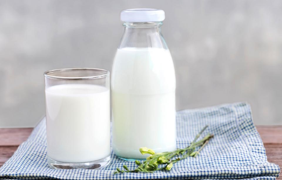 Milk, or alternative substitute | 10 Things You Should Always Have In Your Fridge | Her Beauty